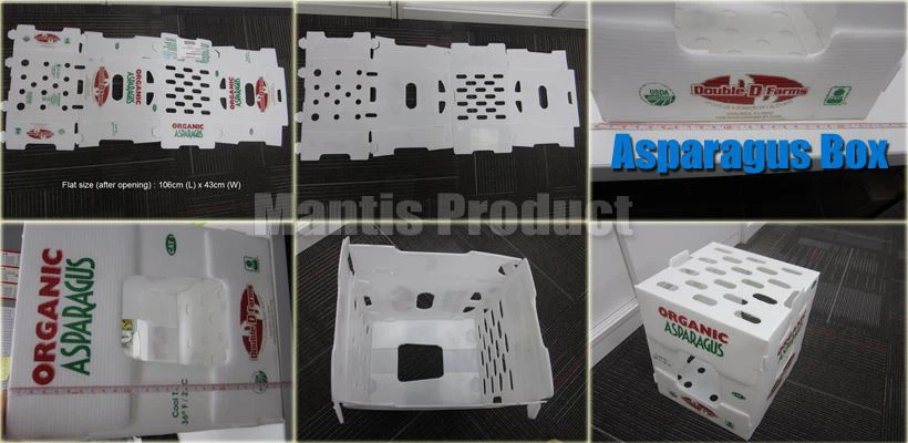 Prototype Details Photos