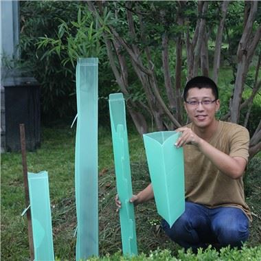 Bảo vệ Corflute