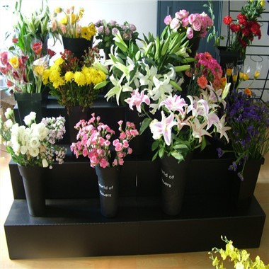 Kệ trưng bày hoa