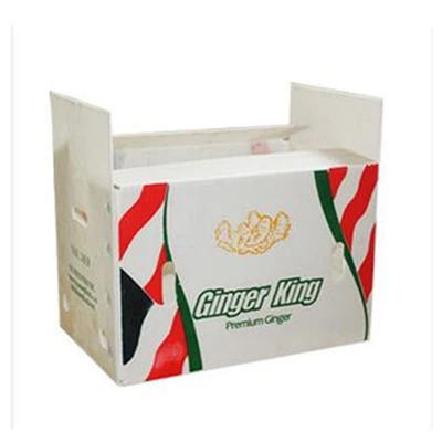 Thùng nhựa sóng có thể gập lại