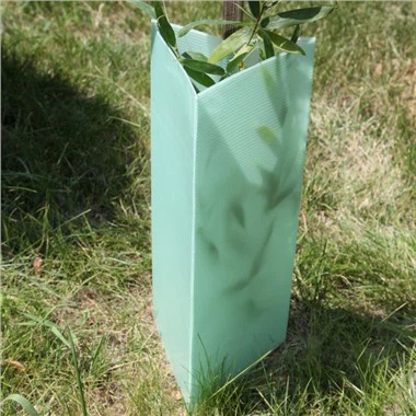 Bảo vệ cây Corflute bằng nhựa