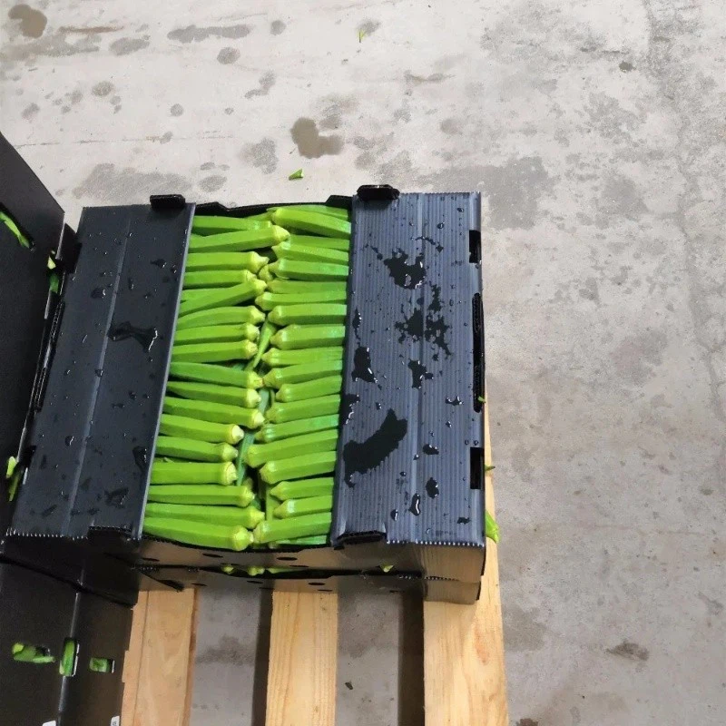 High Quality Recycling Corrugated Plastic Box