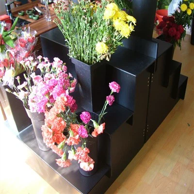 Đế trưng bày xô hoa