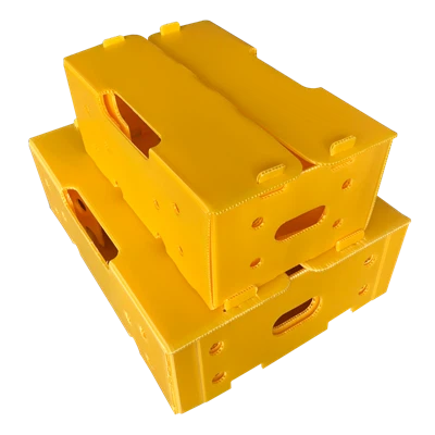 Hộp bao bì sóng nhựa PP