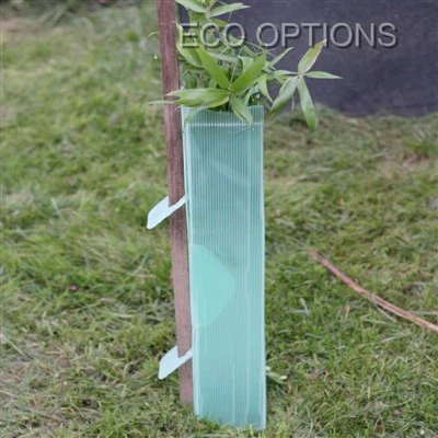 Tái chế bảo vệ cây nhựa